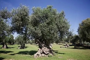 Tenuta Monacelli Отель 4*